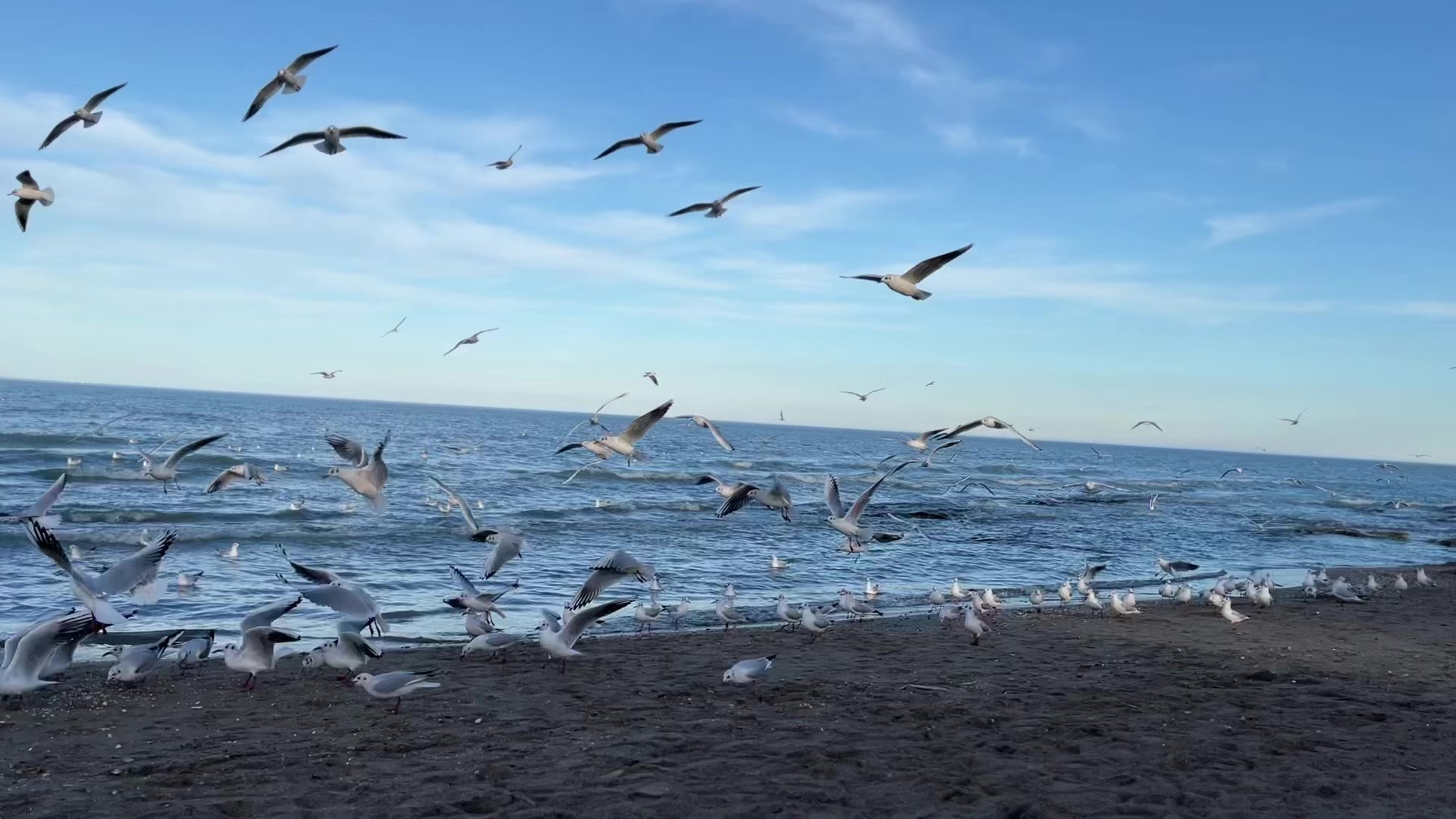 @h&uuml;seynov