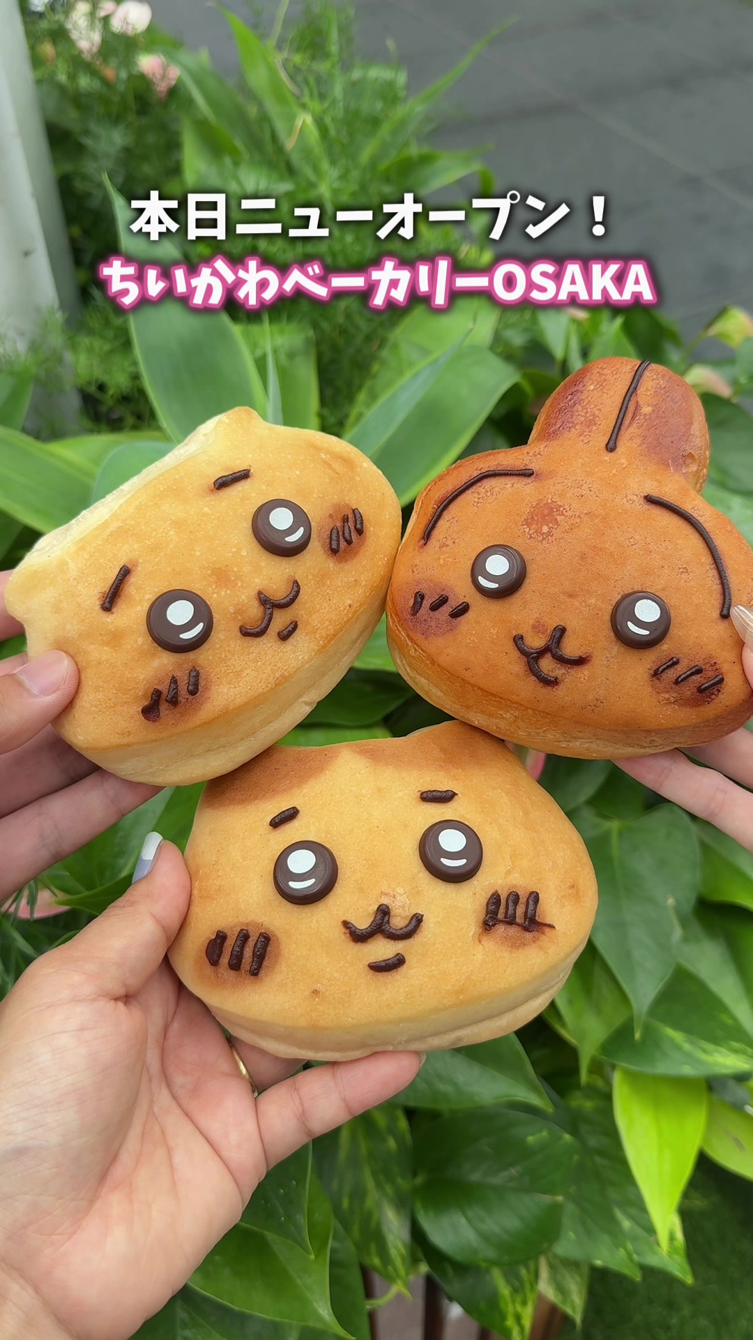 @あやーね【 関西 大阪 グルメ 】