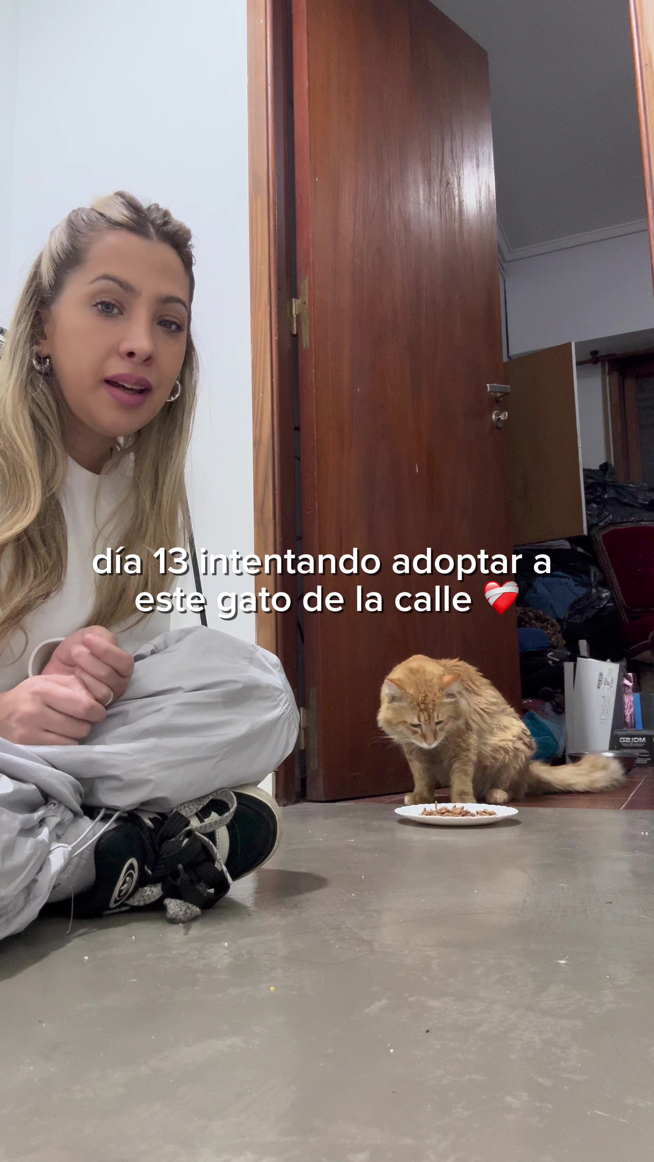 @Lucia Serenaa