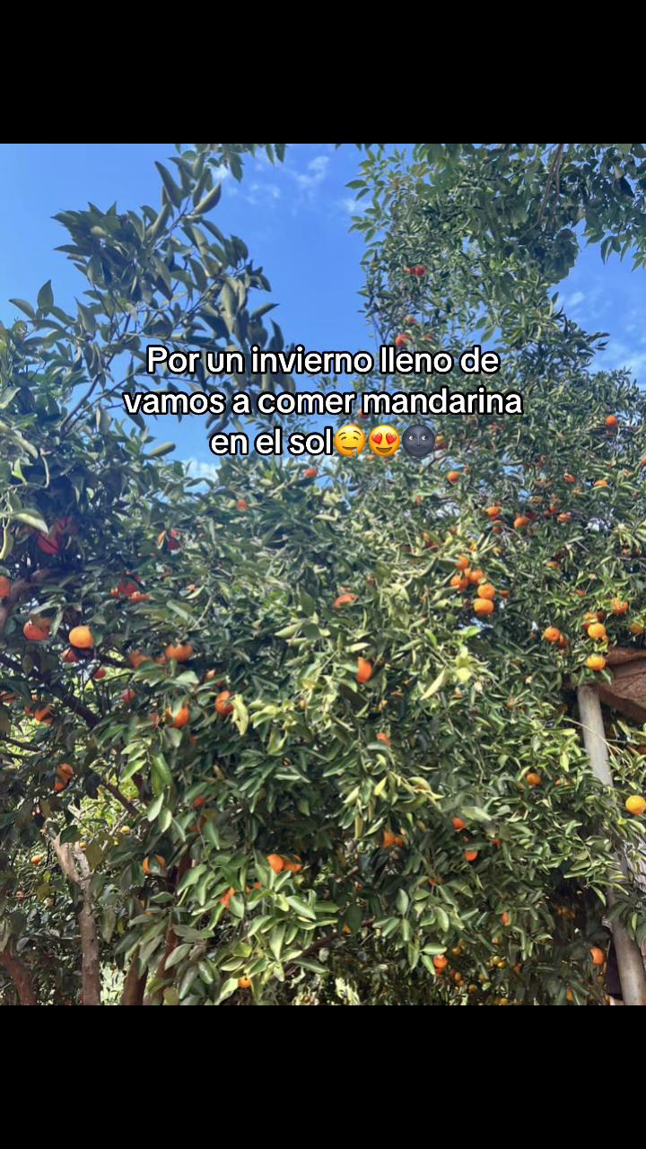 @Zarate santacruz mirian
