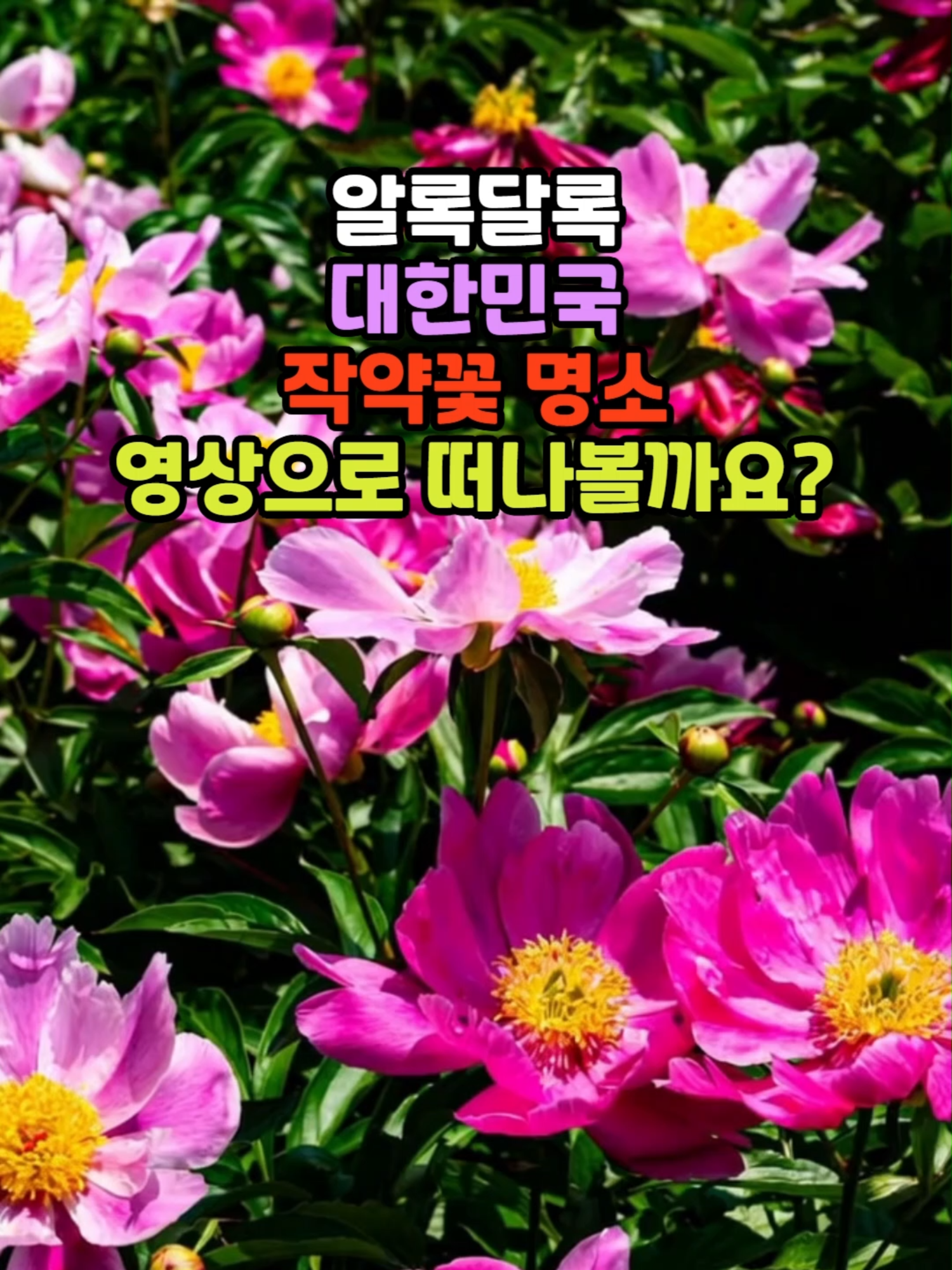 @꽃길