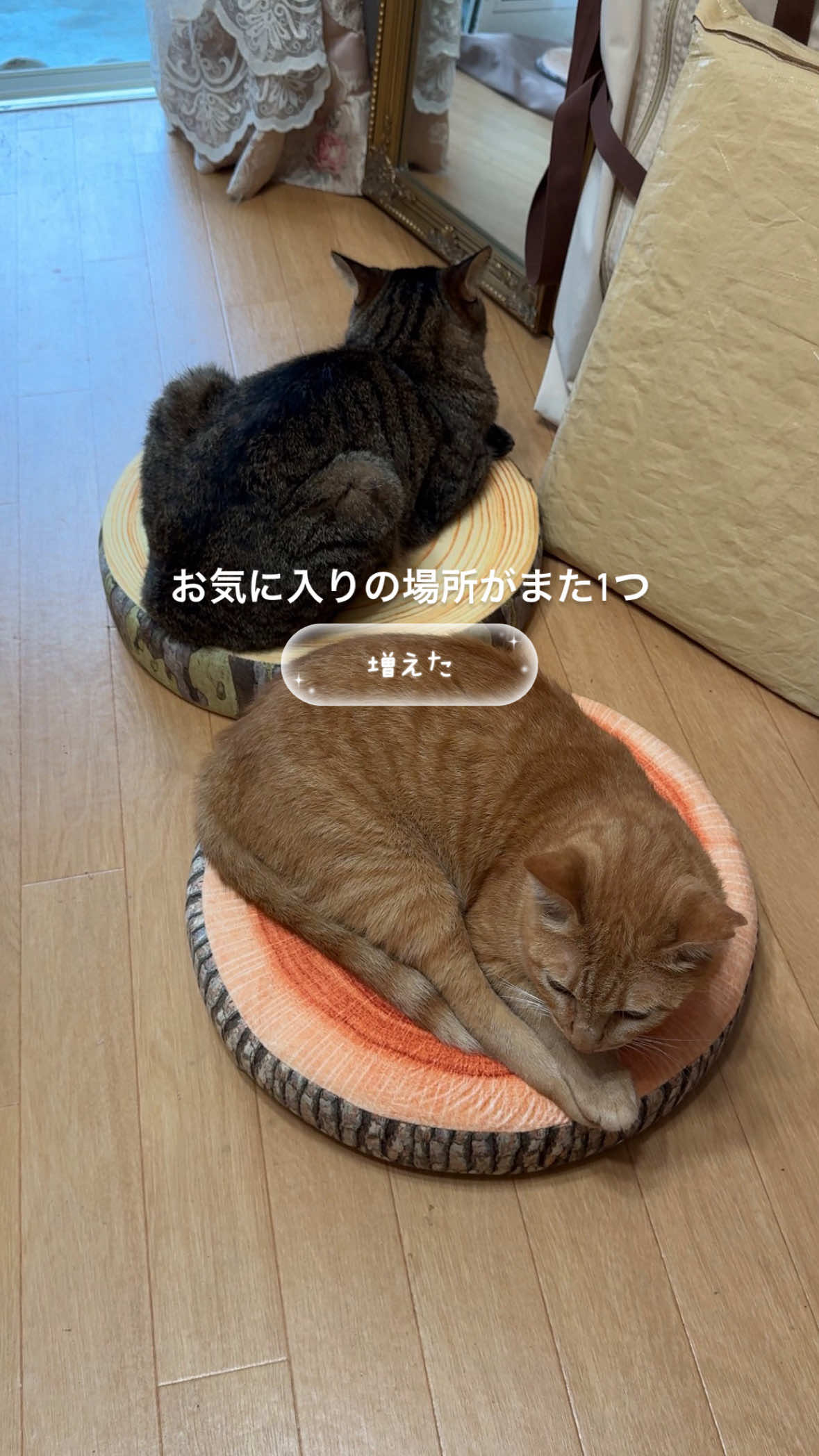 @さっことおちょ