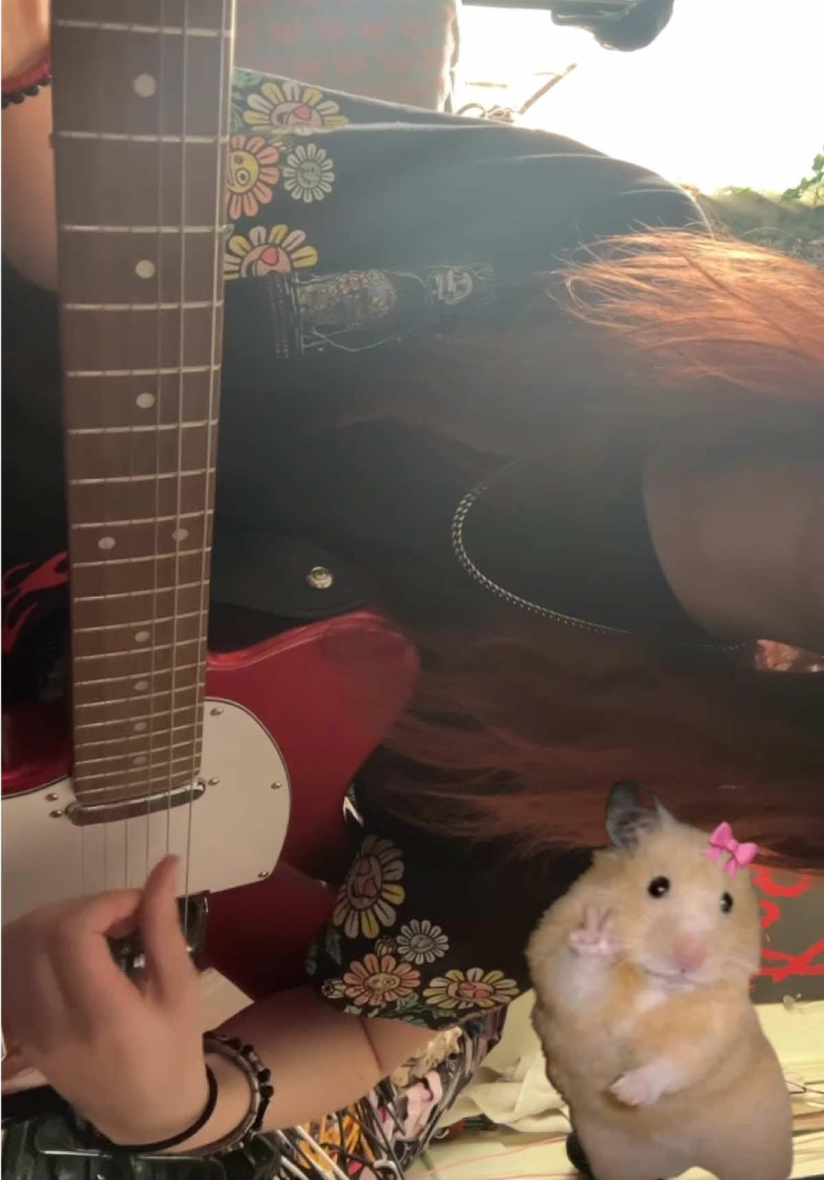 @Alice 🦢