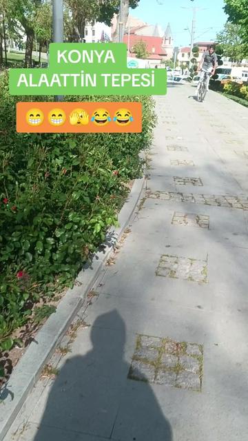 @🦂 GÜNEŞ 🦂