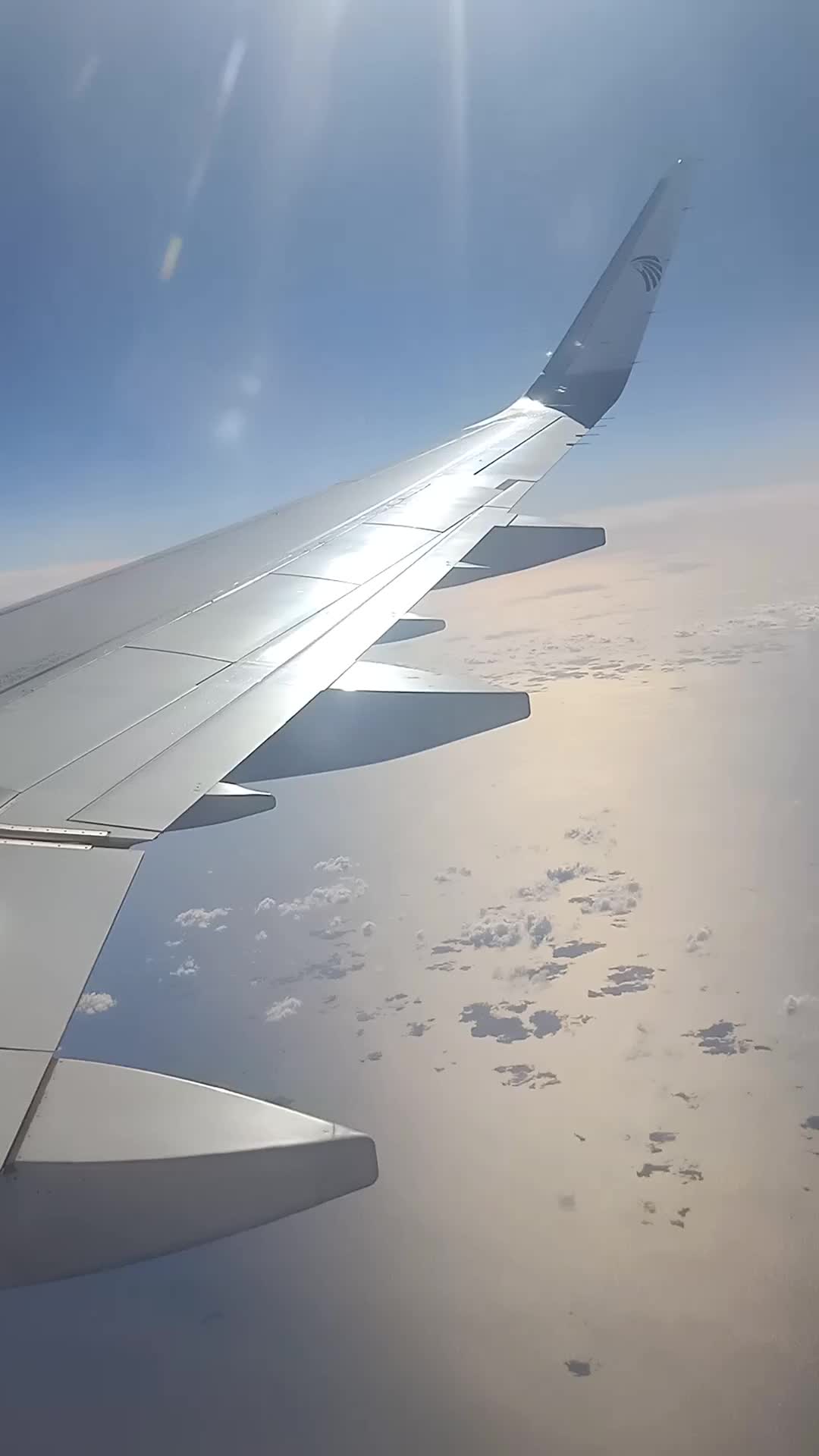@Eya 🦋🇹🇳🇸🇦