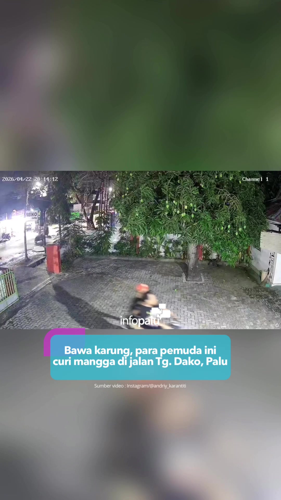@Info Palu