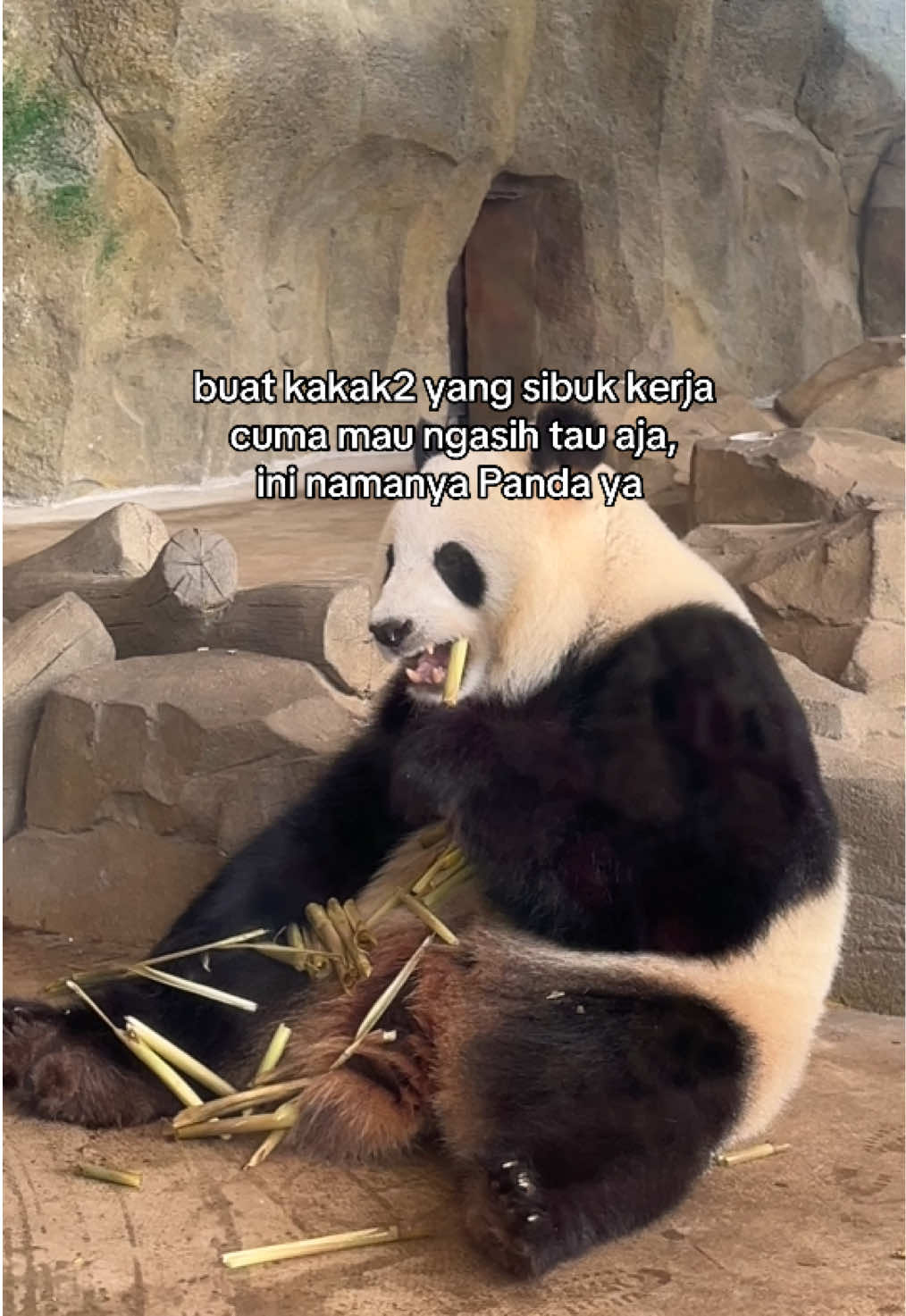@and1