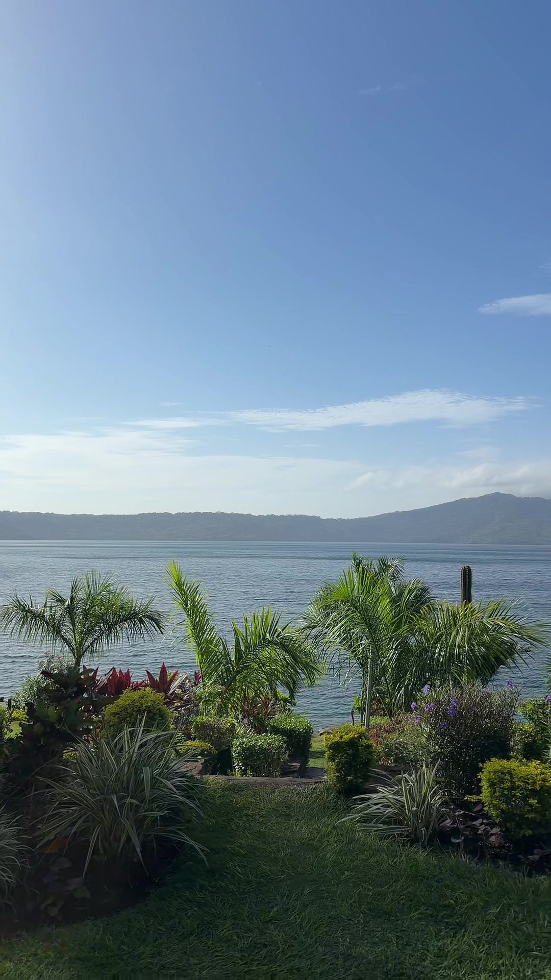 @triana