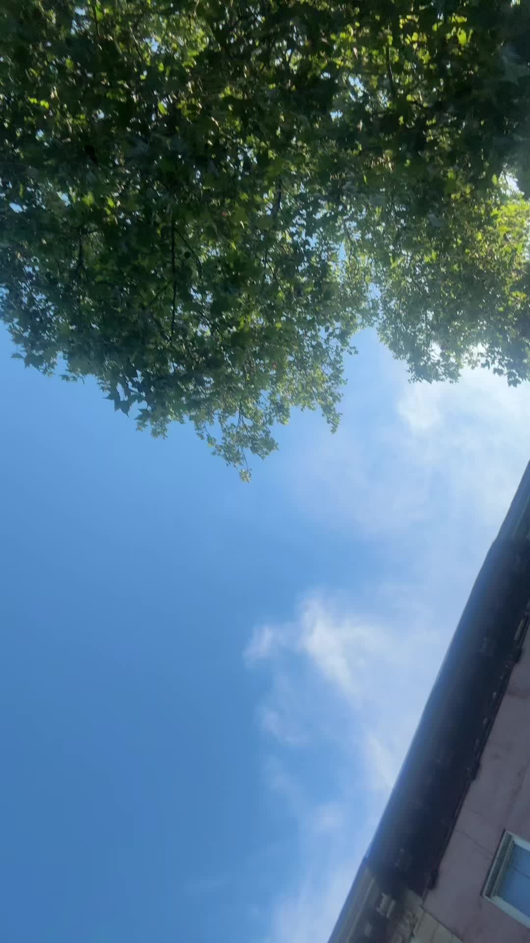 @BIGBAGBECKS