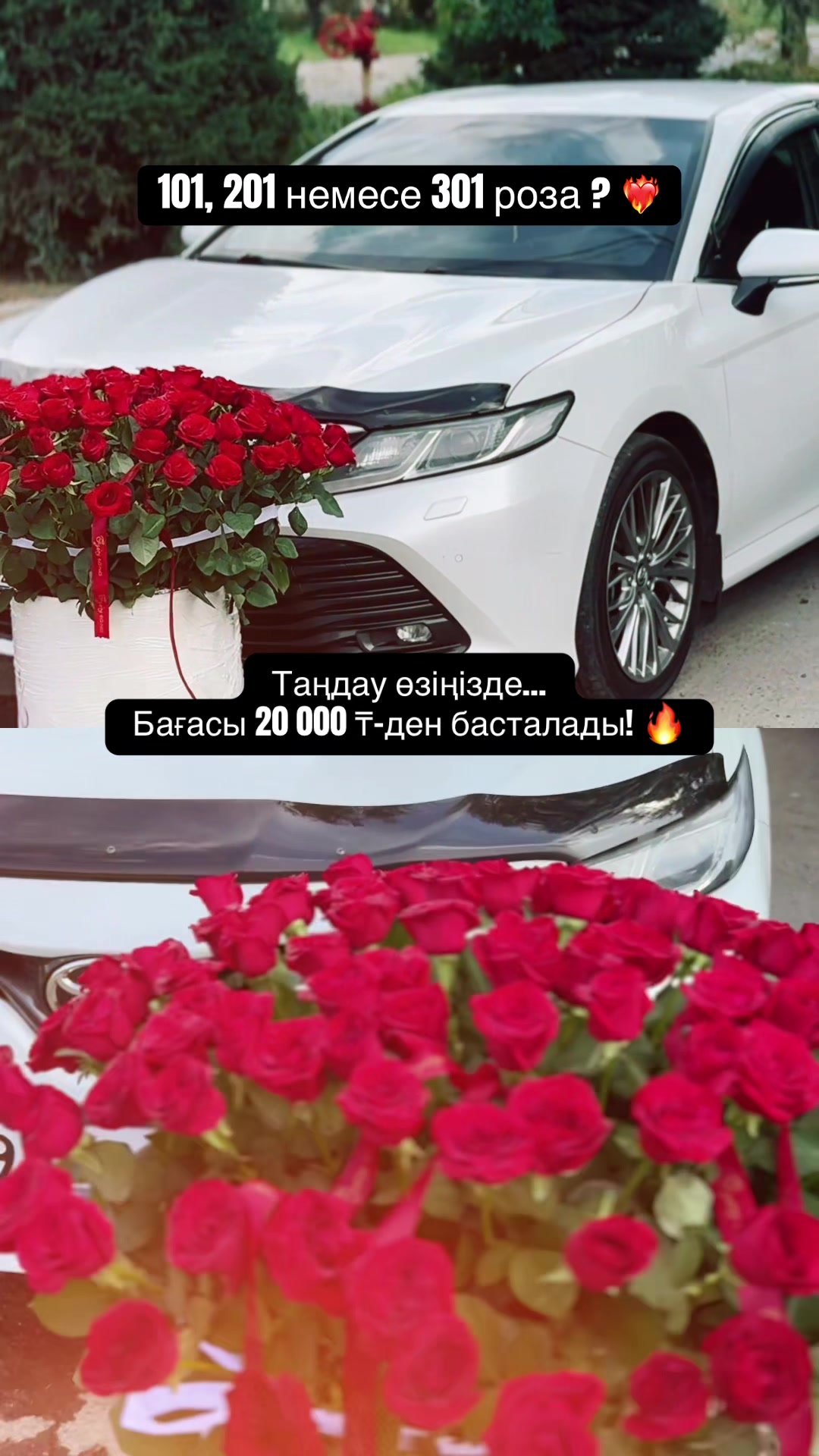 @Paparose_almaty