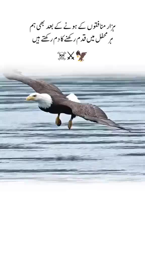 @Sarfeaz