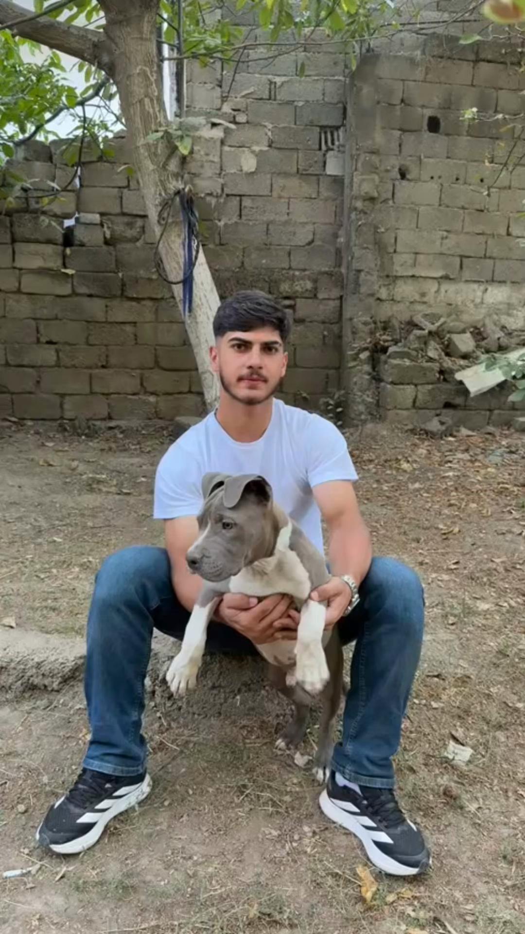 @"Maşallah Avcı 🦅"