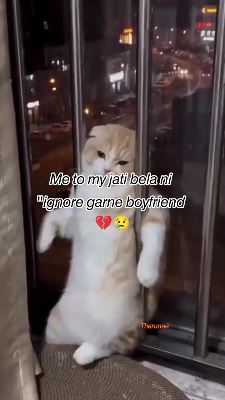 @❤️🩹❶❶:❶❶❤️🩹(थरुनी)