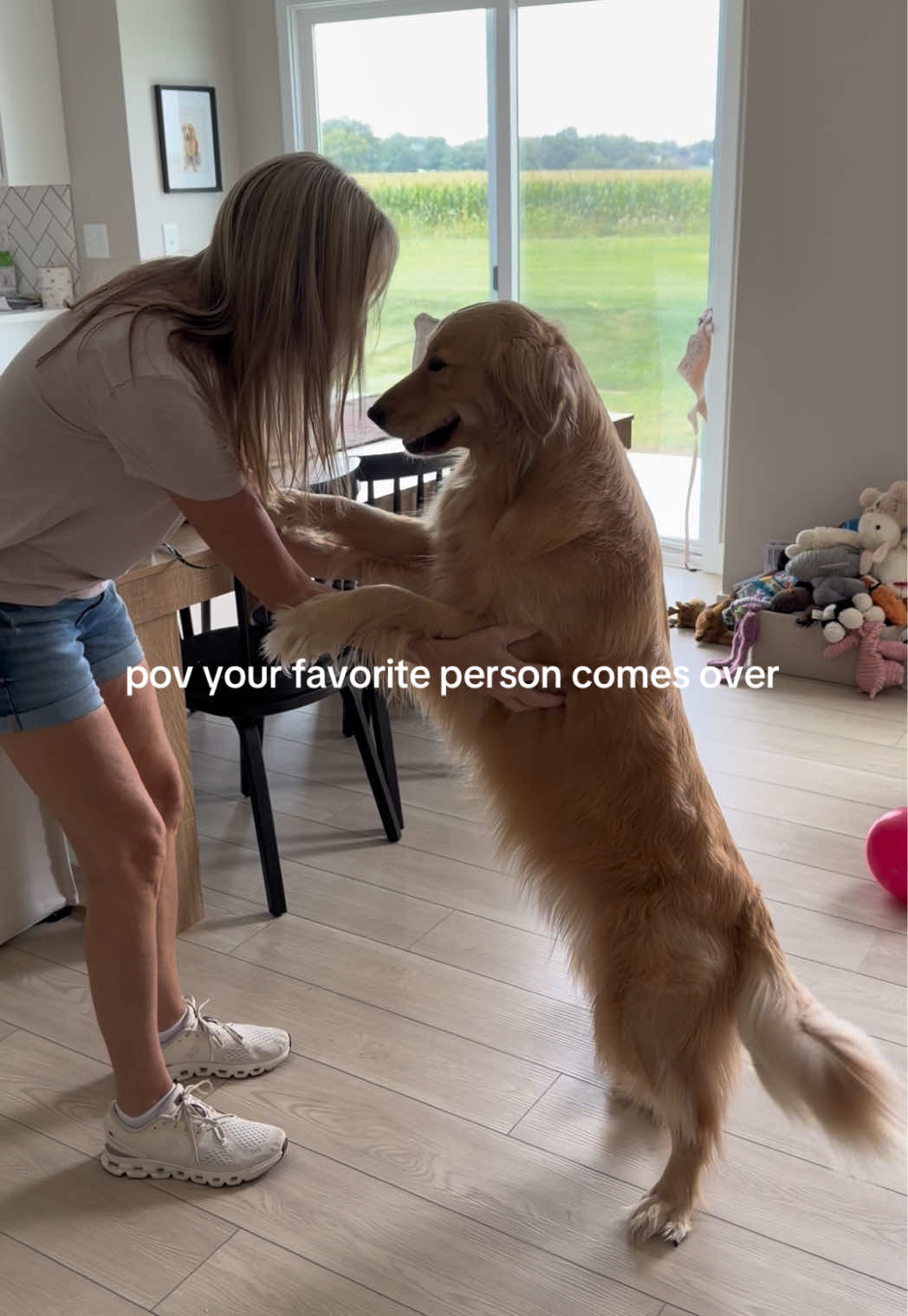 @novathegoldenn