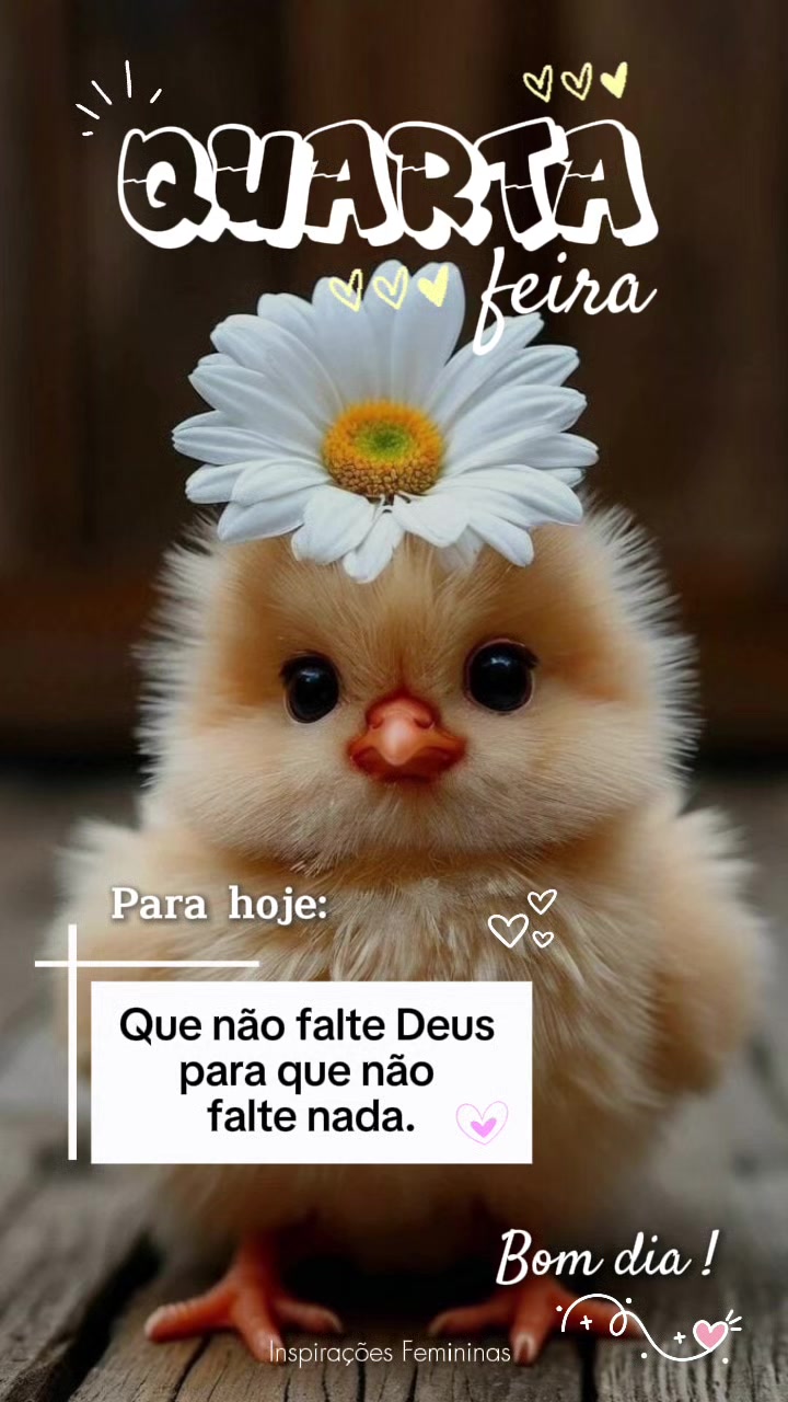 @Inspirações Femininas