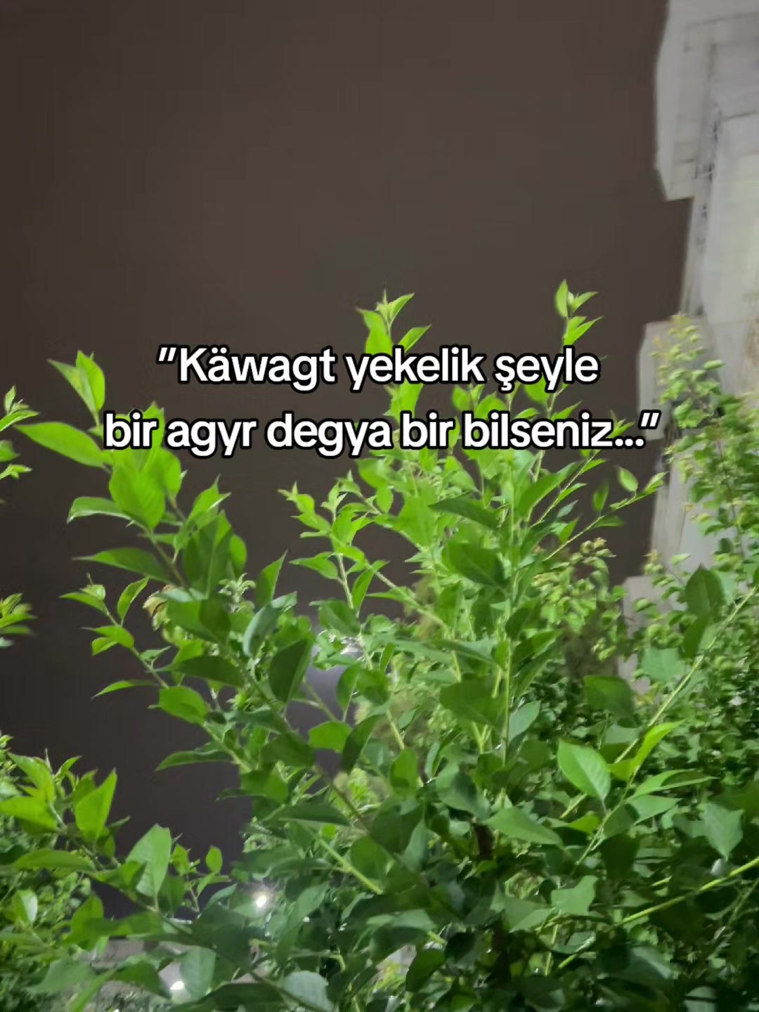 @hekka
