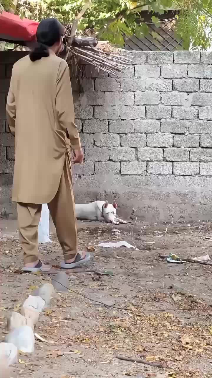 @آویز💸