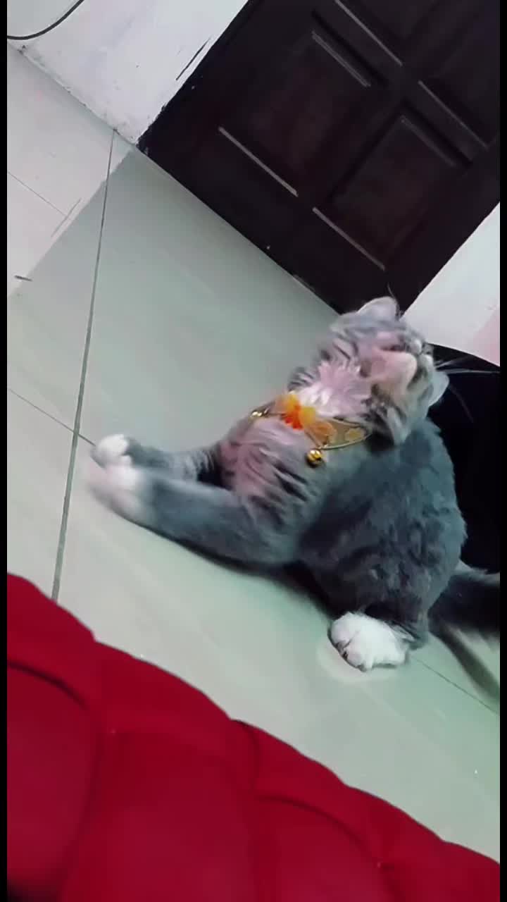 @๐ค๐๏ธ
