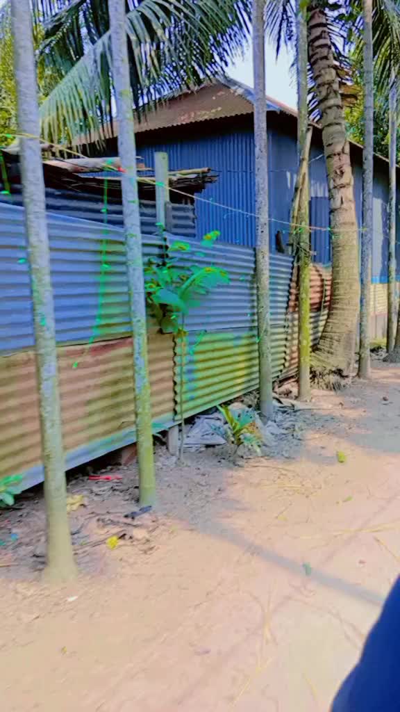 @গ্রামের বাংলার দৃশ্য
