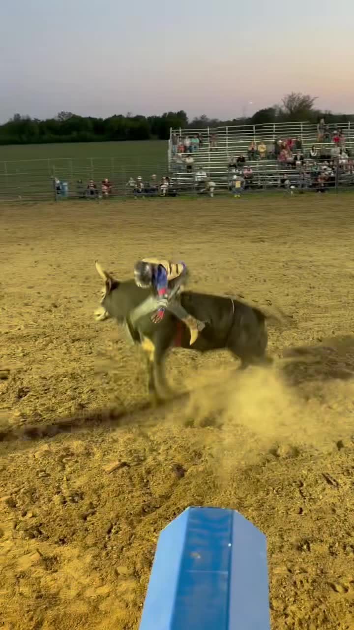 @Savi da bullhand