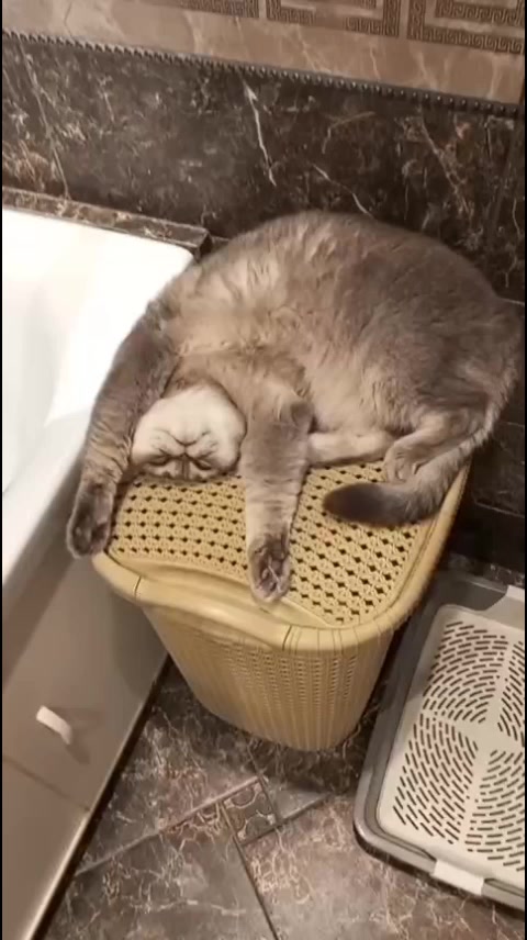 @Настюшка