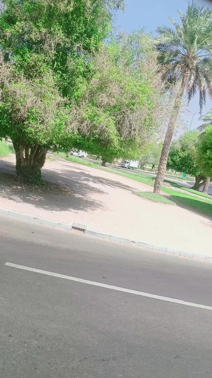 @Rais Faiz pradise🇦🇪💔