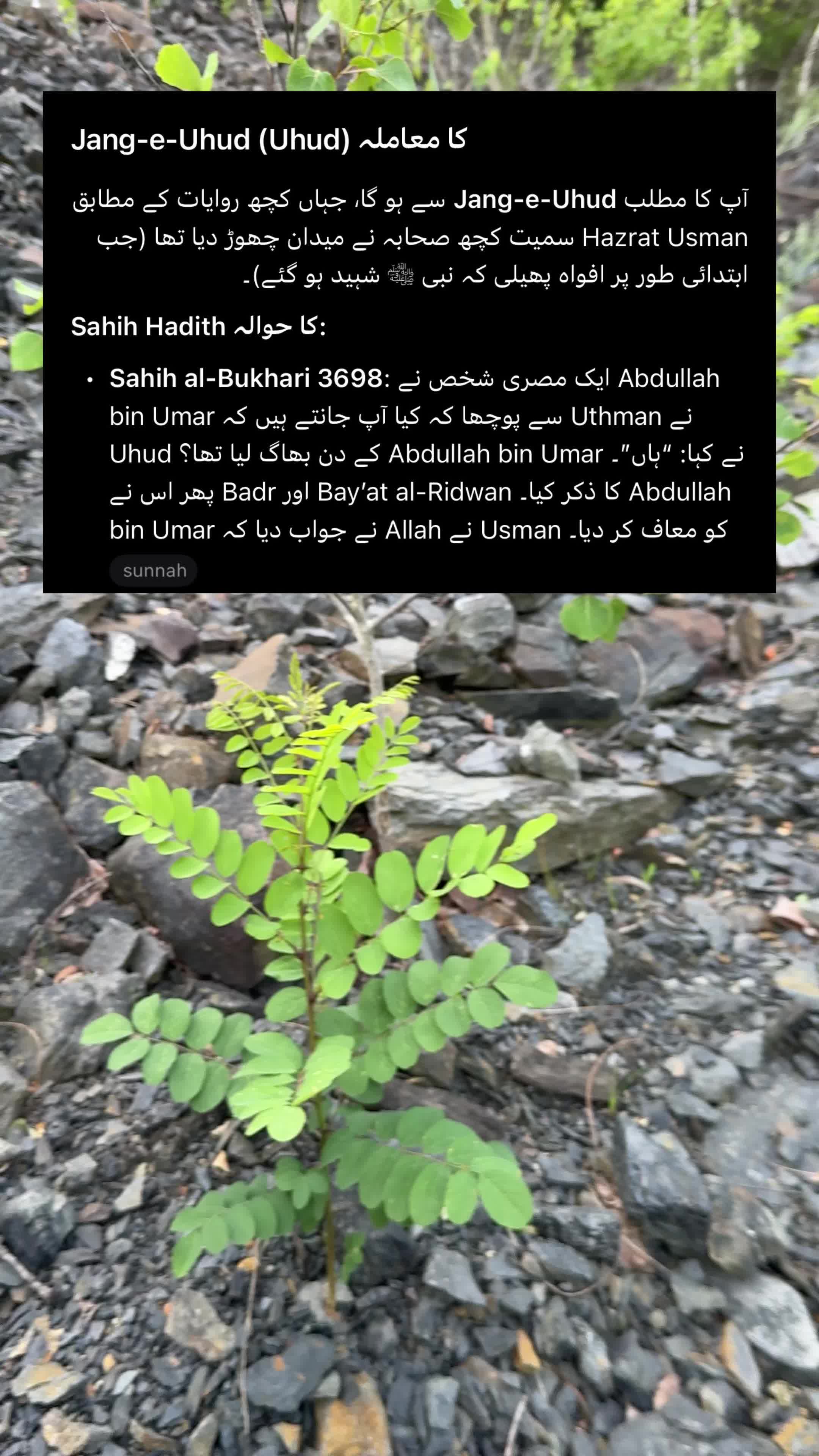 @johnshaqi01
