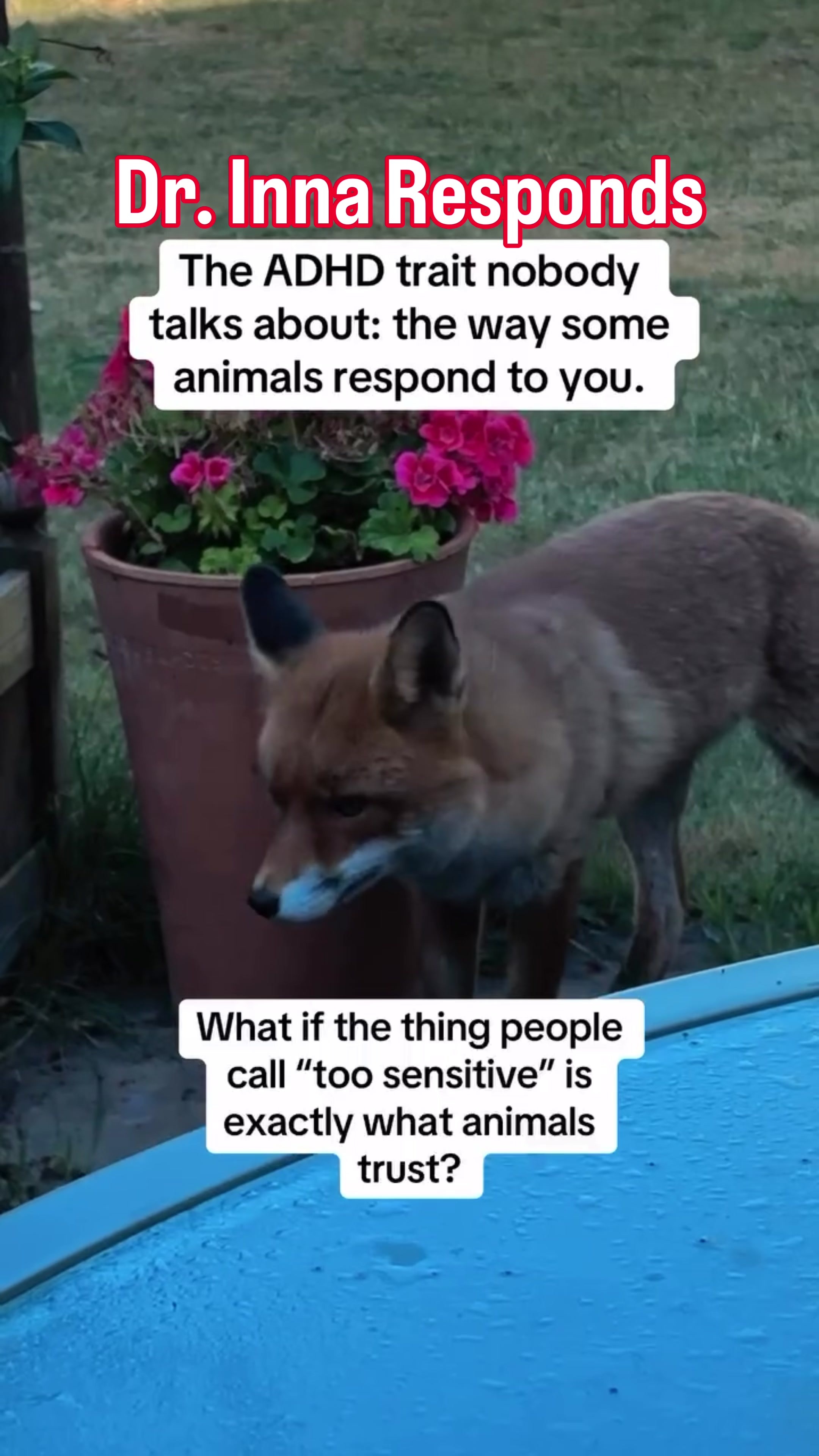 @Inna Kanevsky, Ph. D.
