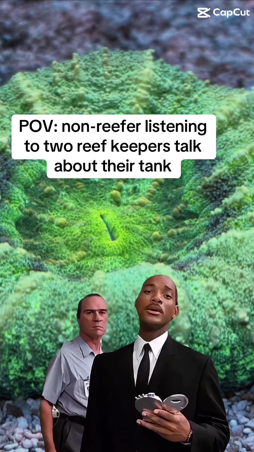 @ReefTok