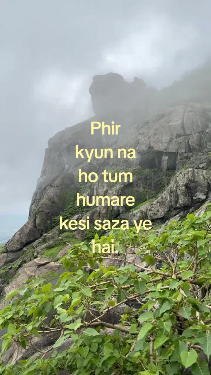 @🫧