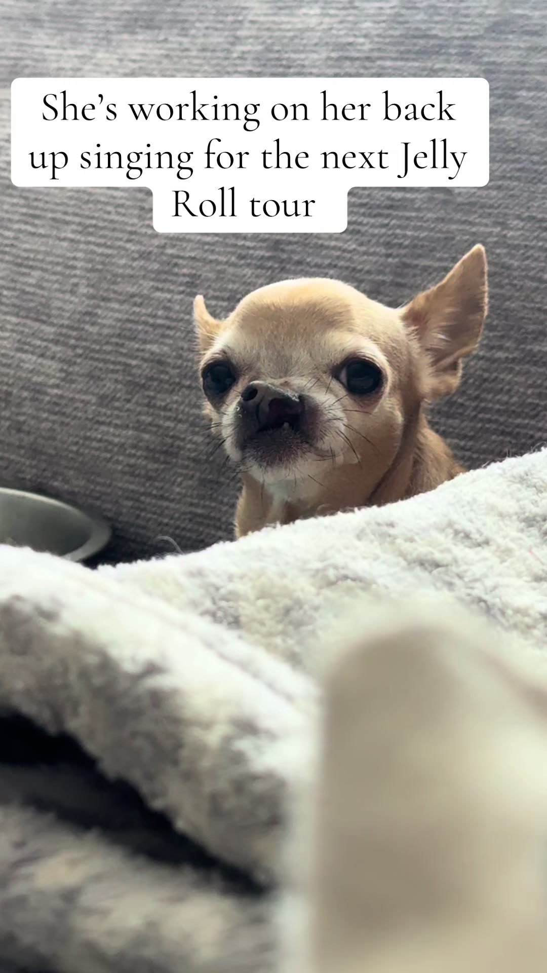 @Dog saver 8