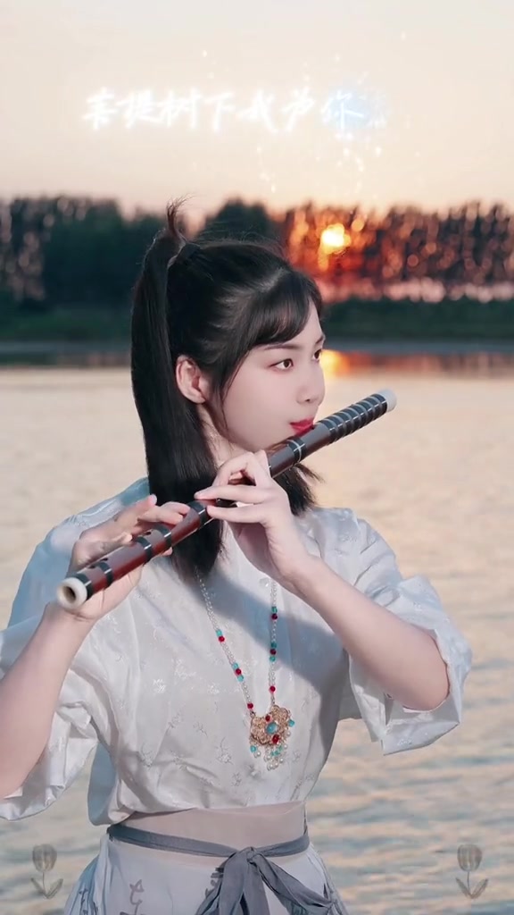 @🎋爱竹笛 Đam Mê Sáo Trúc 🪈