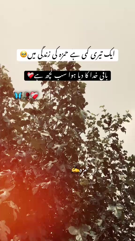 @Hamza Alvi🤓