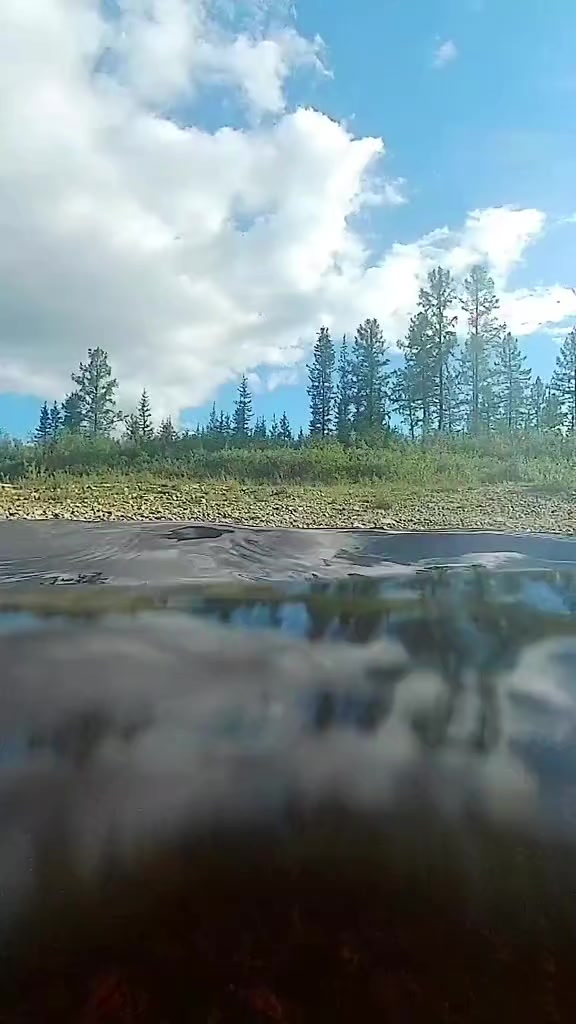 @Харли Квинн
