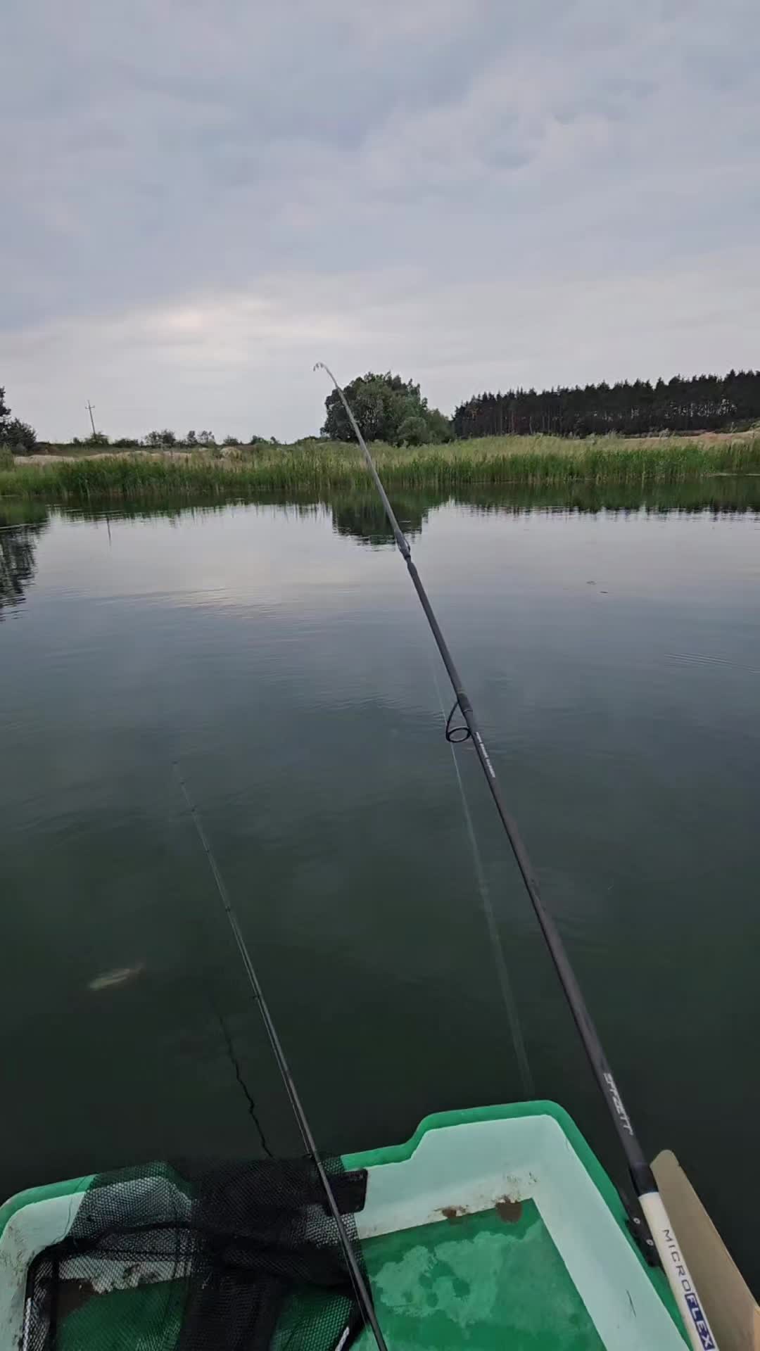 @mfly_lures