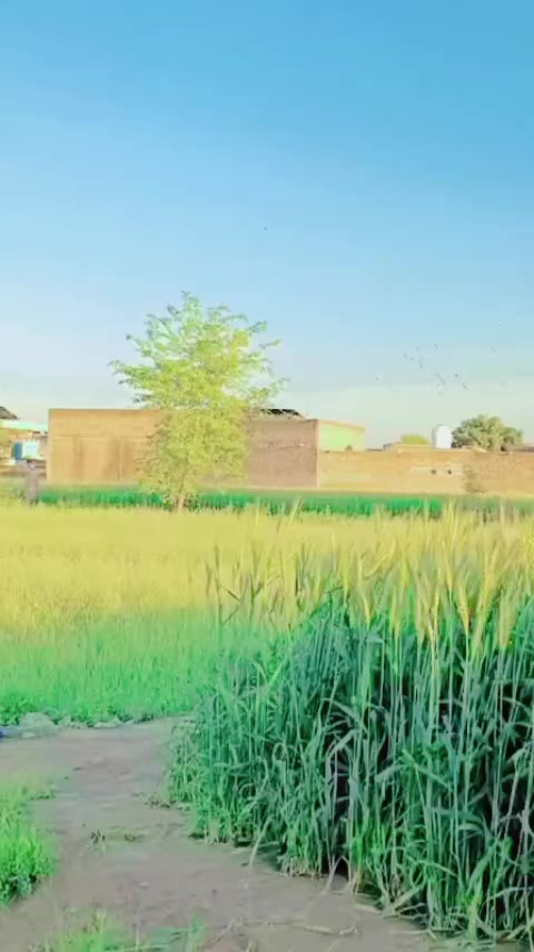 @@Rehanjani1090
