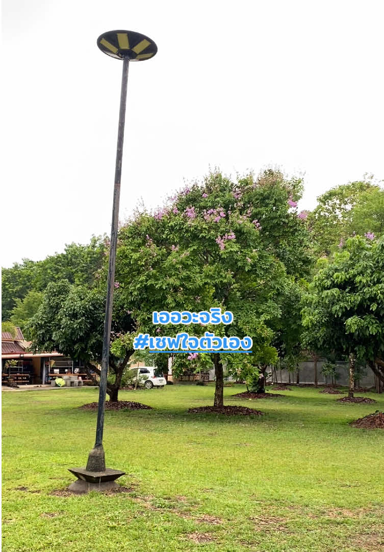 @กะปุก..งอกเงยดีคาเฟ่ เชียงราย