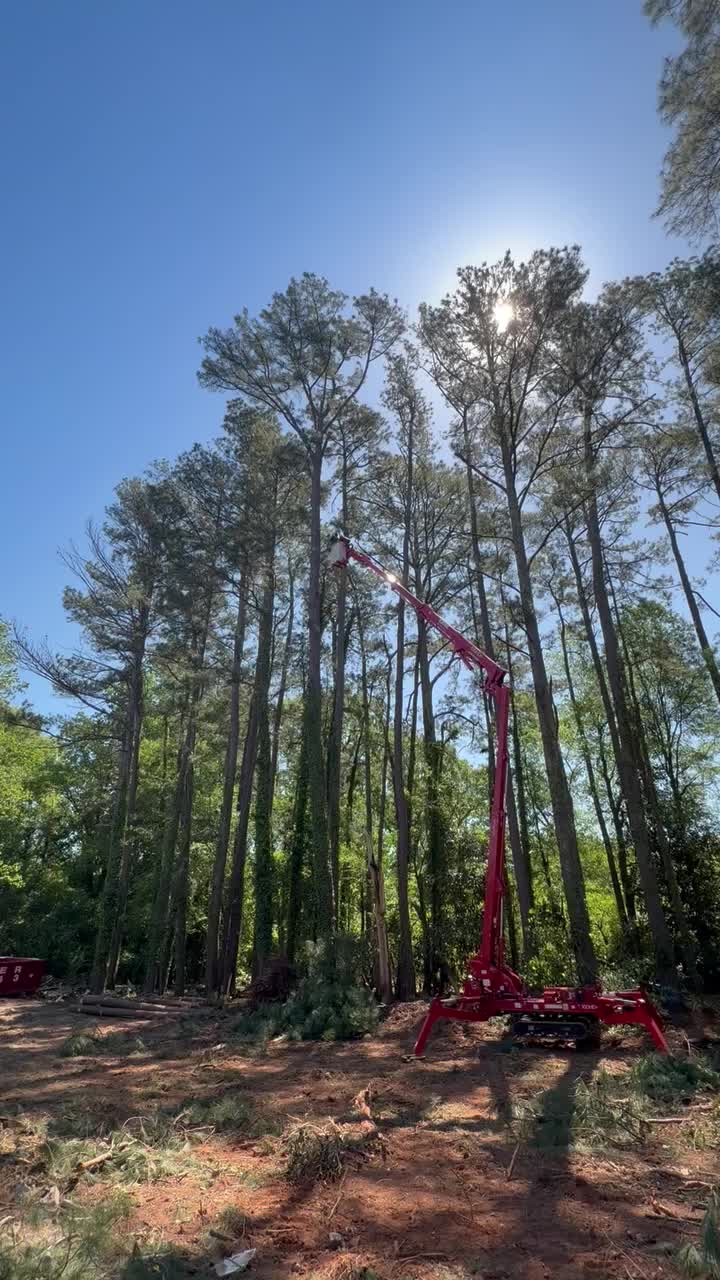 @R&G tree and landscaping