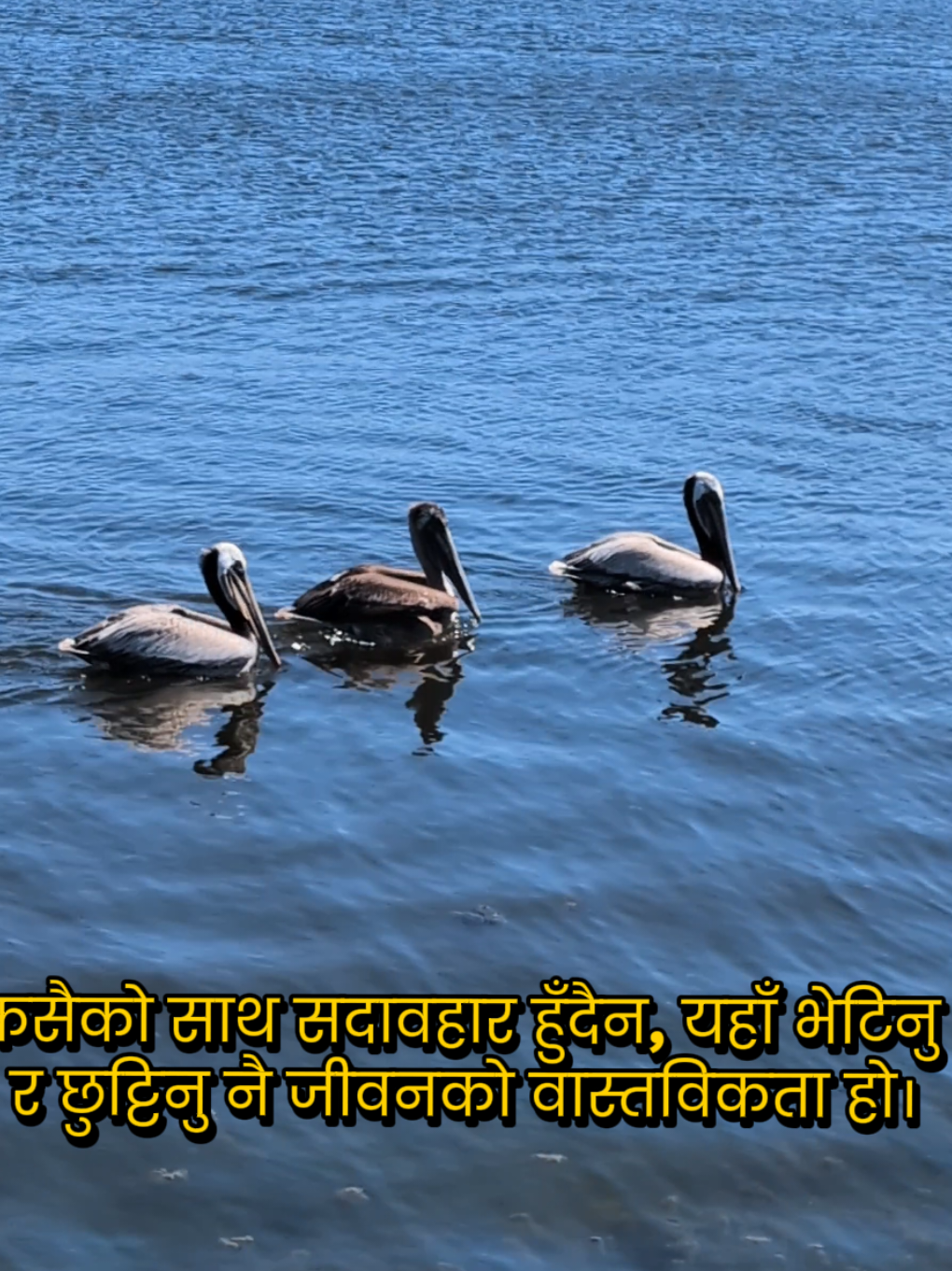 @Samjhana Acharya