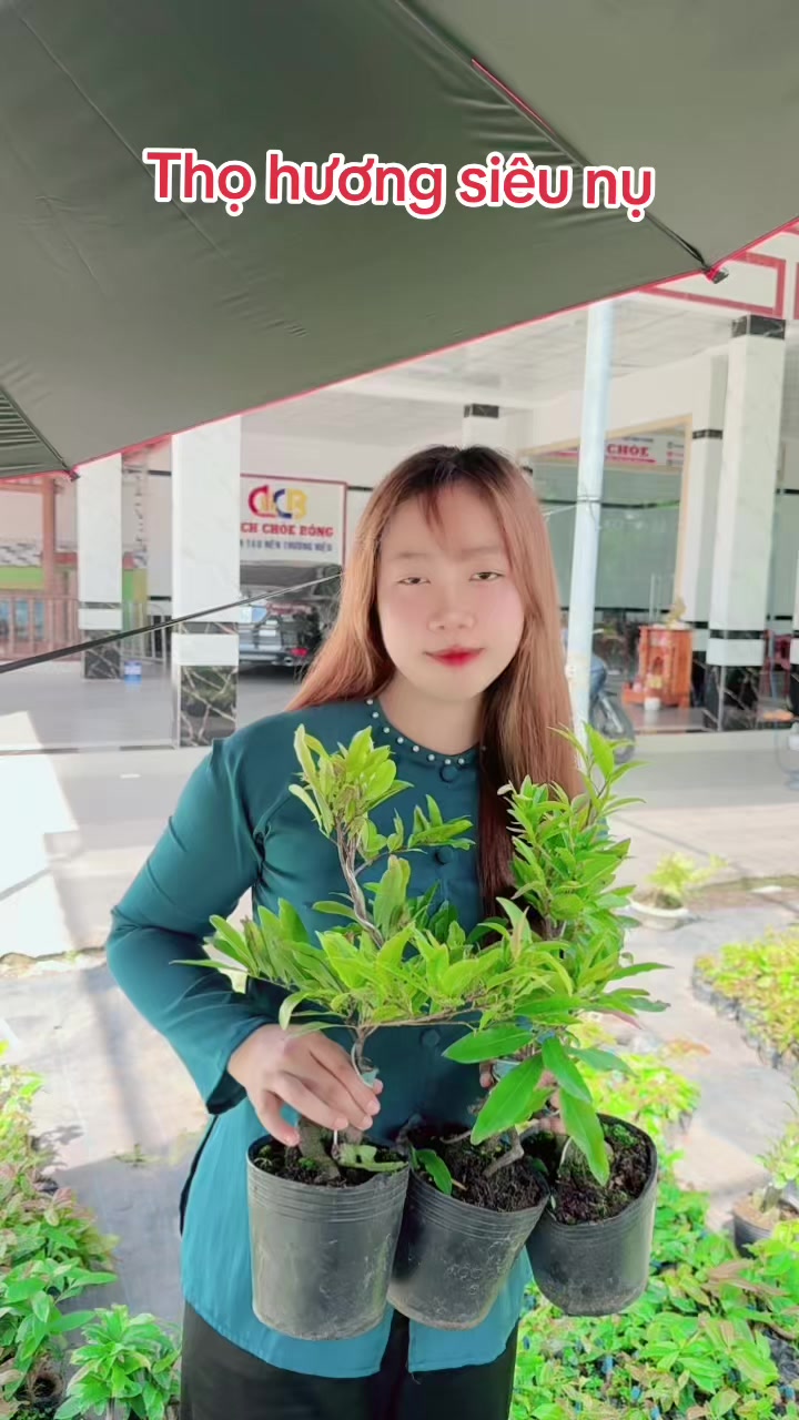 @Chichchoebong79