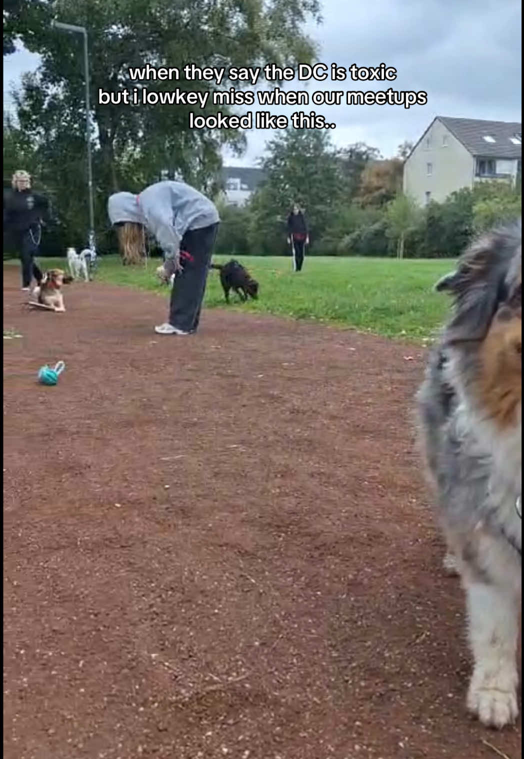 @🐾