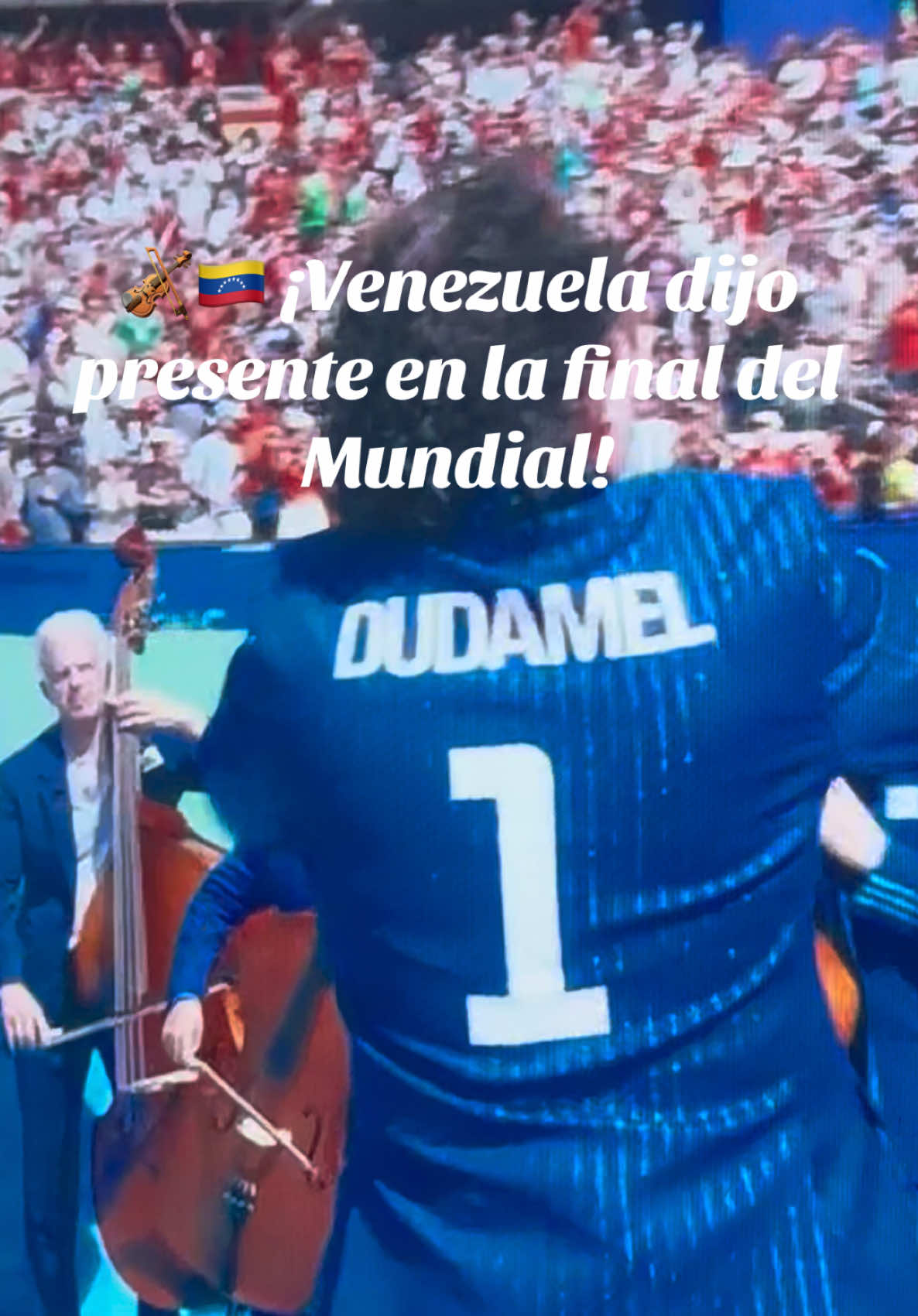 @Marieta 🐕🦺🌲💐🎡🇻🇪