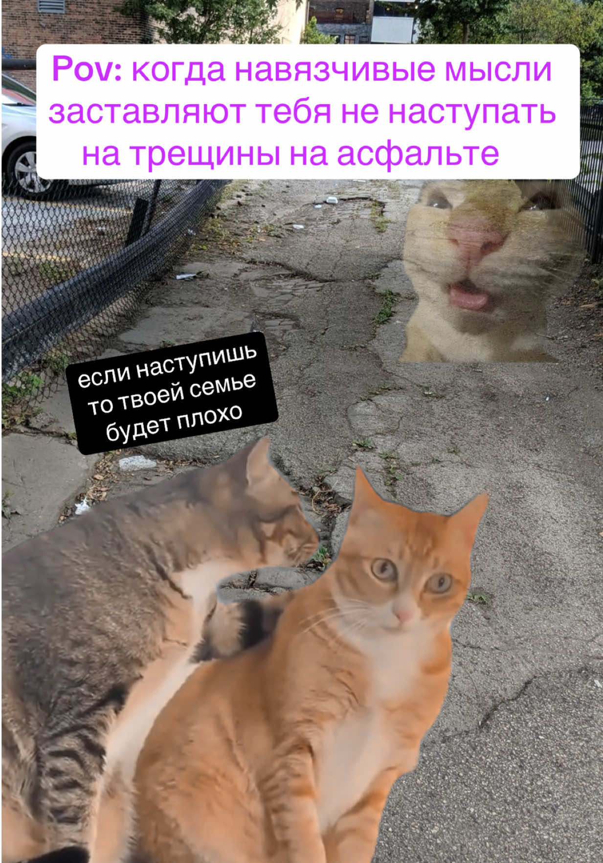 @_fima_is_not_here_