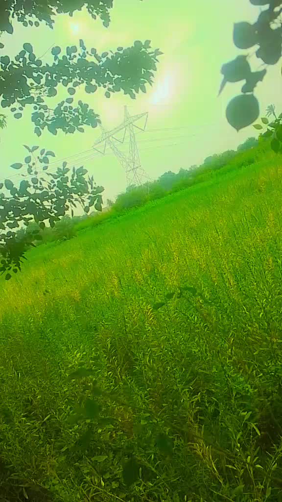 @samina Khan 1868