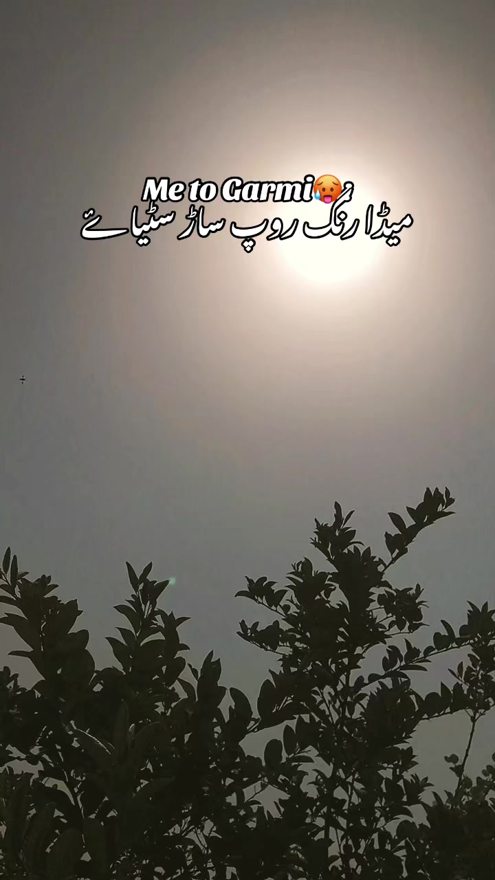 @برہان کی خالہ