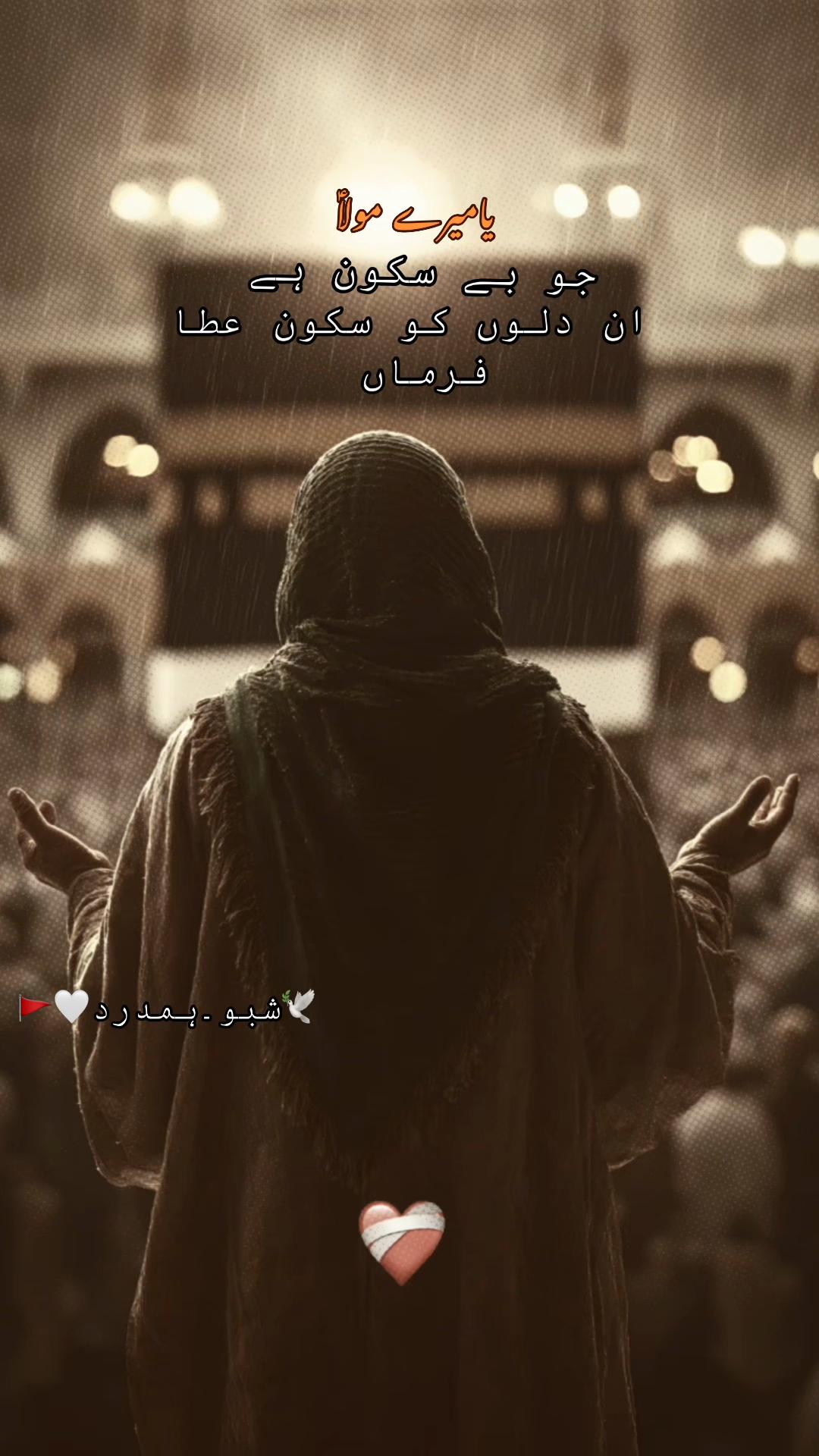 @🕊️SHaBo__HaMdarD🤍🚩