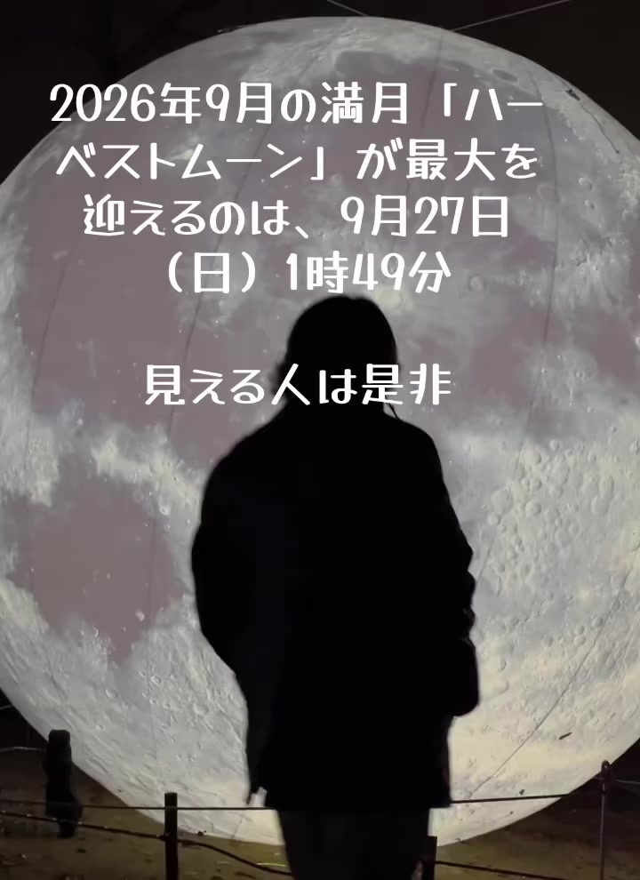 @MASAYUKI
