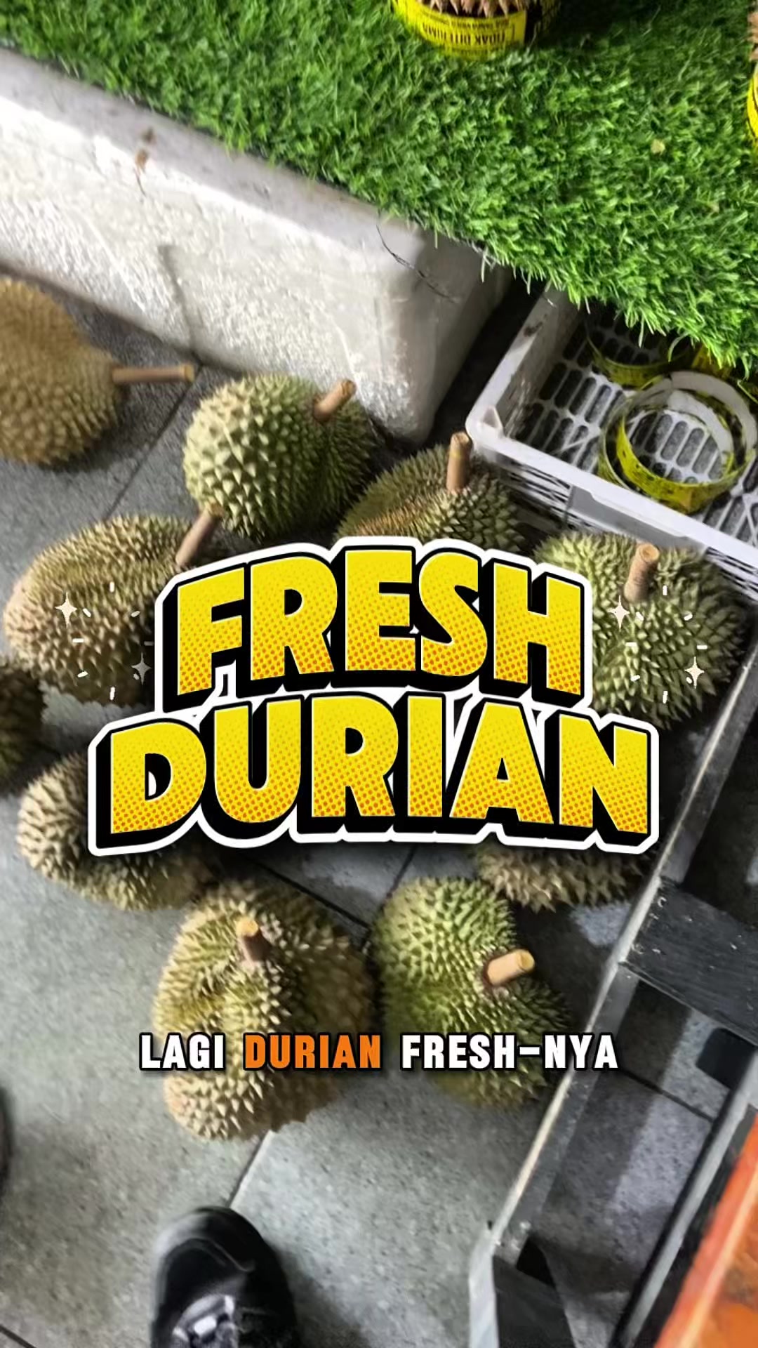 @CICIP DURIAN