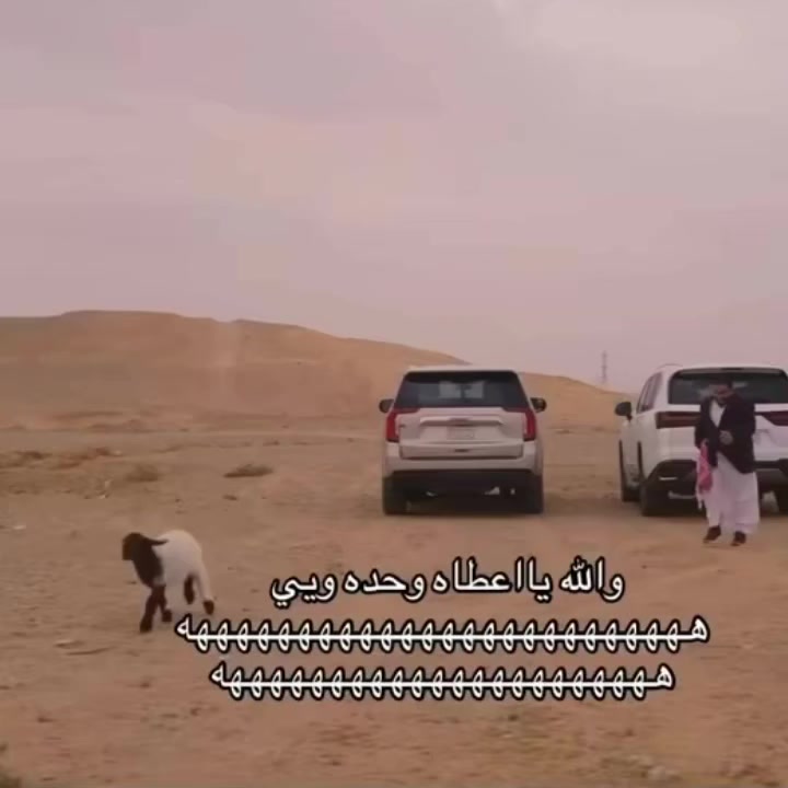 @احمد حمد الشهيبي 🇱🇾🇦🇷14