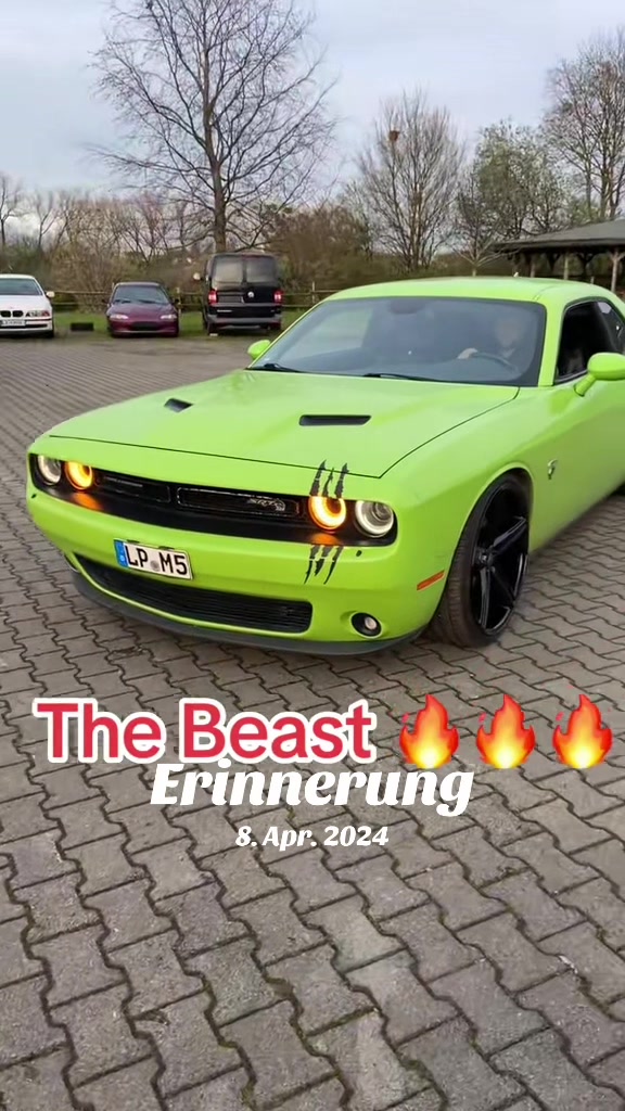 @reifentayar